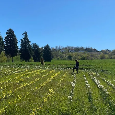 Il Casale Denari - Tenuta Duca Denari *